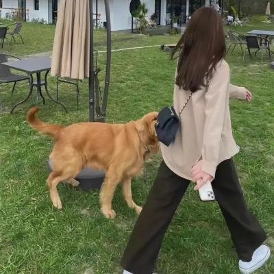 暗影